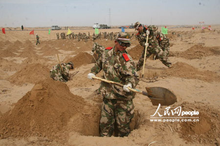 寧夏武警荒原植綠