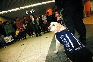 北京地铁安检升级 民警将携警犬巡检(图)