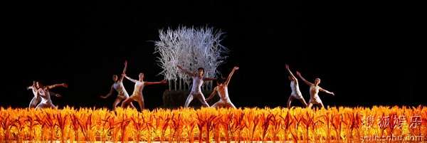 北京当代芭蕾舞团《拾穗者》下半场--拾穗者 4