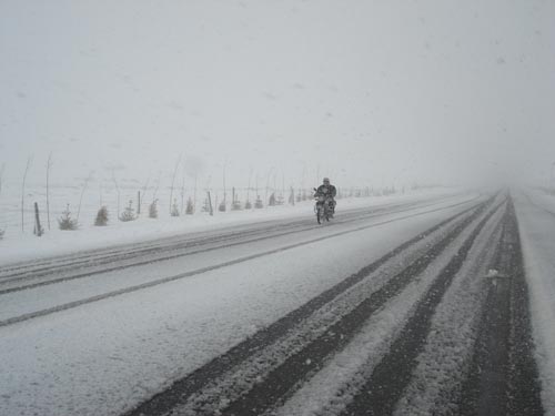 青海門源縣出現暴雪天氣(組圖)