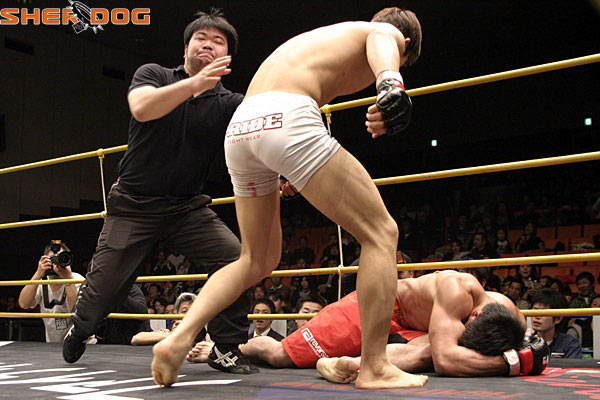 ͼ:ufcѡֽ ko