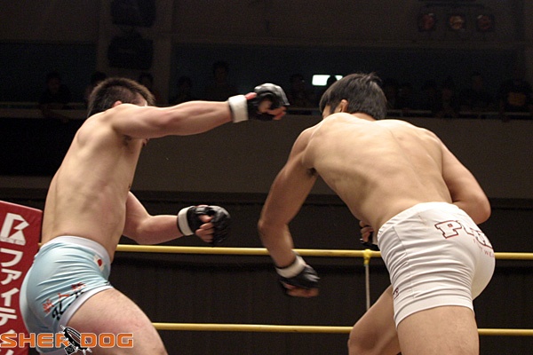 ڶ,ufc4սȫʤĽŽռʿ߼ʤ