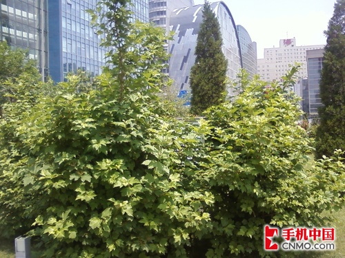 入门触控音乐手机 三星劲乐S3370评测 