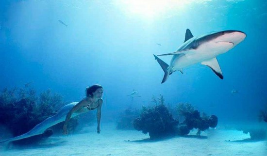 29岁美艳女子扮美人鱼与鲨鱼同游(组图)
