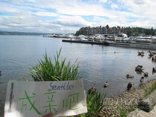 ͼSeattleѣװɣ