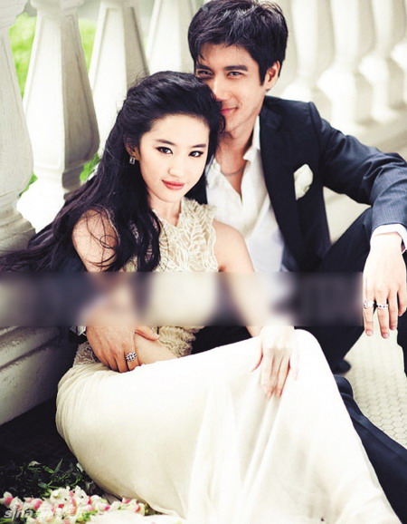 王力宏和刘亦菲婚纱照图片