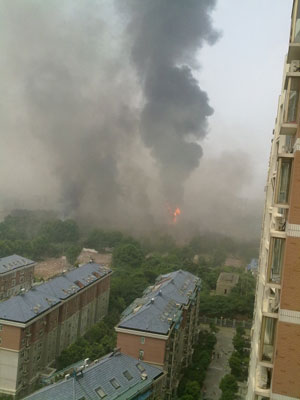 均为网友供图