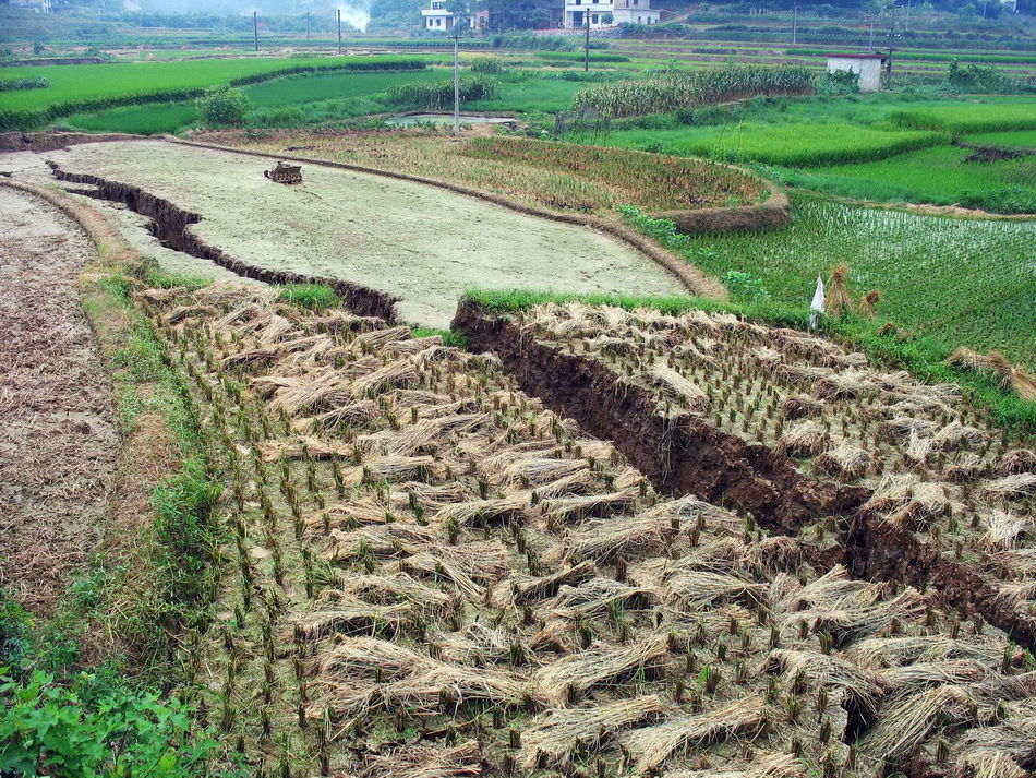 原地裂开图片