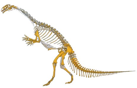 泰国发现25亿年前在东南亚最古老恐龙化石(图)