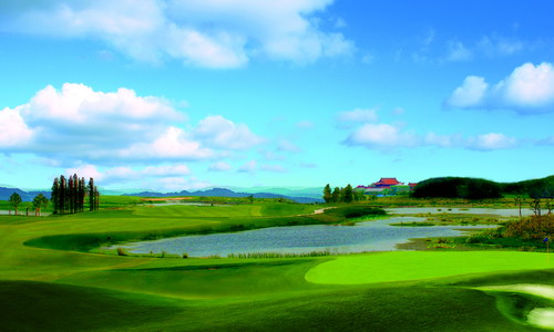云海湿地高尔夫球场图片