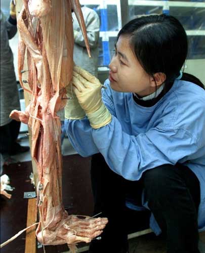 解剖人肉图片