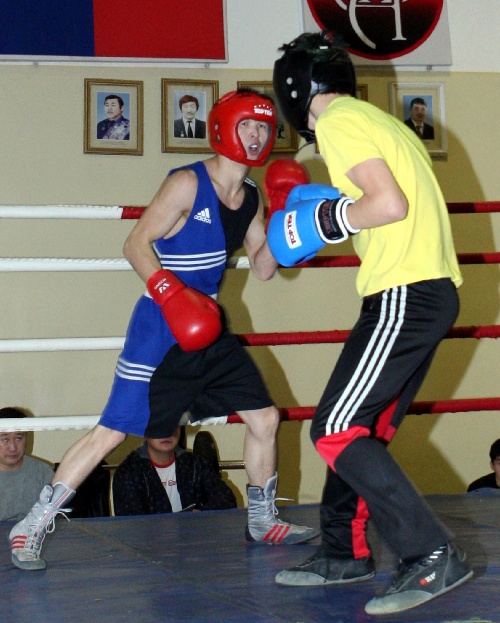蒙古拳击手图片