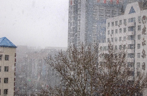 11月7日是立冬节气,哈尔滨降下鹅毛大雪,冰城哈尔滨的最低气温骤降到