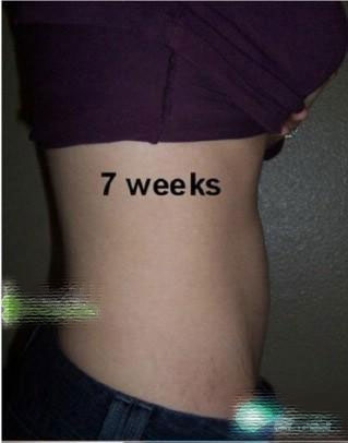 怀孕的肚子两个月图片