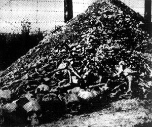集中营焚尸图片