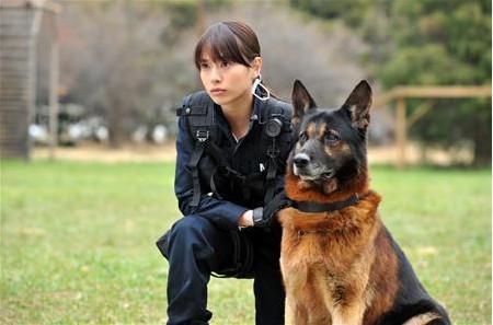 戶田惠梨香扮警犬訓練員 加盟市原隼人主演影片