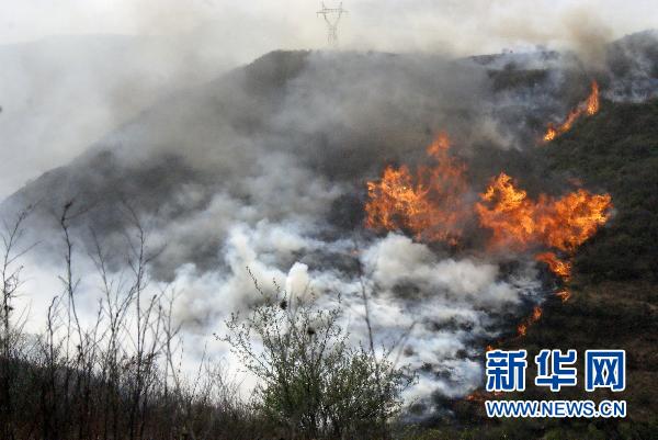 部的最新消息,截至2日17时,发生在山西省壶关县的森林火灾明火已扑灭