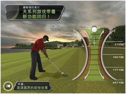 Tiger Woods PGA TOUR® 12