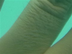 实战水下拍摄 理光PX三防卡片机评测
