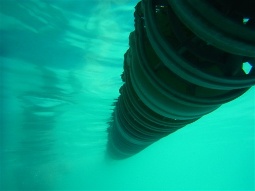 实战水下拍摄 理光PX三防卡片机评测
