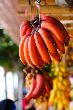 红色香蕉（照片模式：流行色彩）；红色香蕉（照片模式：玩具相机）