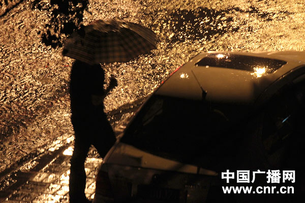 雨中路灯图片