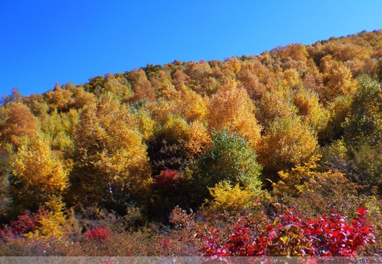 朔州紫荆山旅游景点图片