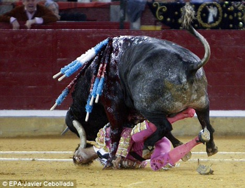 斗牛士帕迪拉被公牛刺穿了下颌,左眼失明,半边脸瘫痪