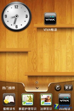 iPhone 4S vivo V1