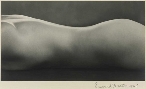 Edward Weston Nude (1925)20084ŦԼոĵ160.9Ԫ