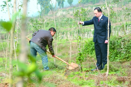 昨日,渝北区大盛镇,渝北区检察院的检察官正现场考察高义的植树情况.