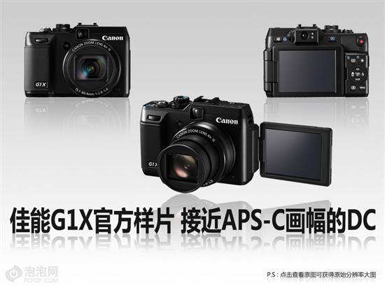 CES2012G1XٷƬ APS-C