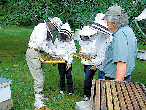 养蜂人路线图图片
