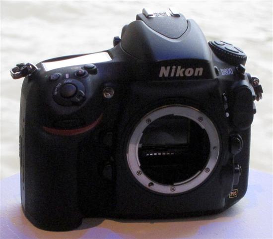 尼康d800高感图片