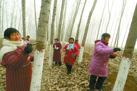 郇封村人口_封村图片