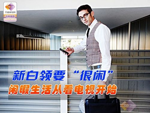 全部4000元内 白领休闲必选平板电视