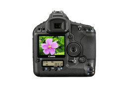 EOS 1Ds Mark III