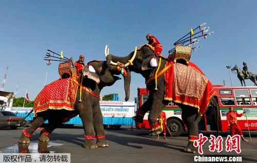 泰国街头上演大象游行 庆祝国际劳动节(组图)