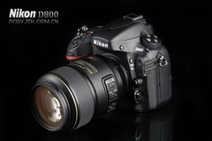 ῵D800