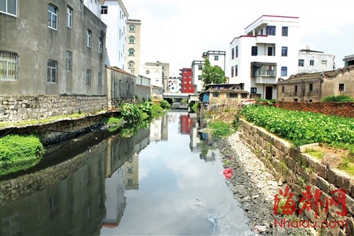 四条这样的黑水沟,呈"三横一竖"的布局,穿过福清市海口镇岑兜村,南