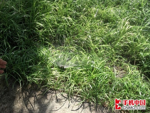 摩托罗拉MT887