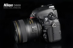 360051Խ ῵D80026800Ԫ