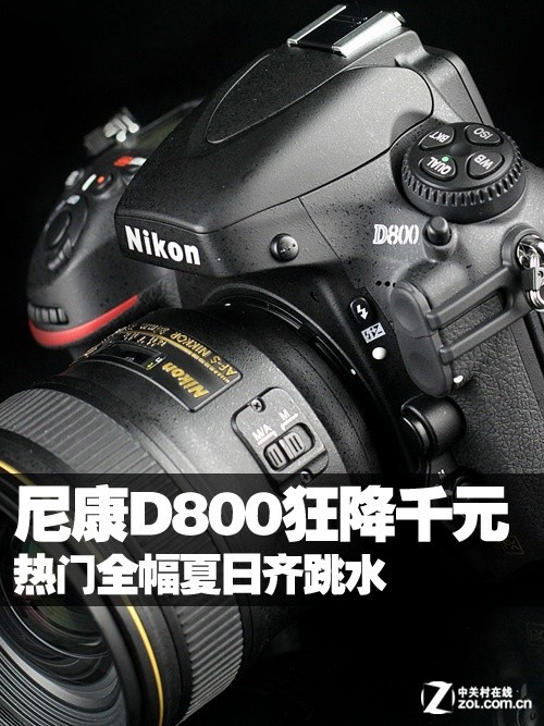 ῵D800ǧԪ ȫˮ