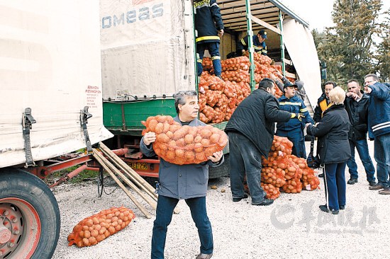 在雅典，人们正在把便宜土豆搬回家。在这场“土豆运动”中，收益最大的还是城市中产阶级