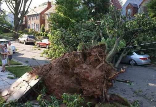 6月30日，美国首都华盛顿地区遭暴风雨袭击，树木折断躺倒街道上