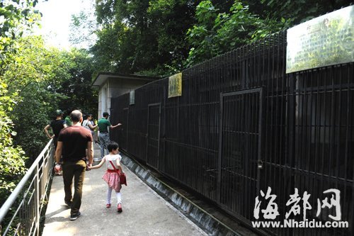 动物园重新开园，游客还来看金钱豹