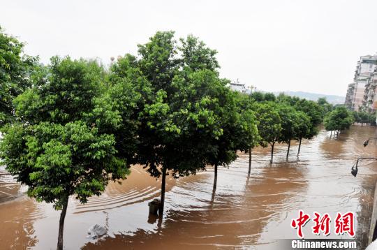 长江洪峰抵达四川泸州。丁一摄