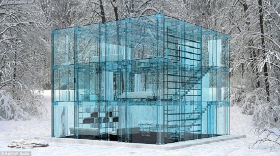 建筑师设计全透明玻璃房 屋内场景一览无余(图)