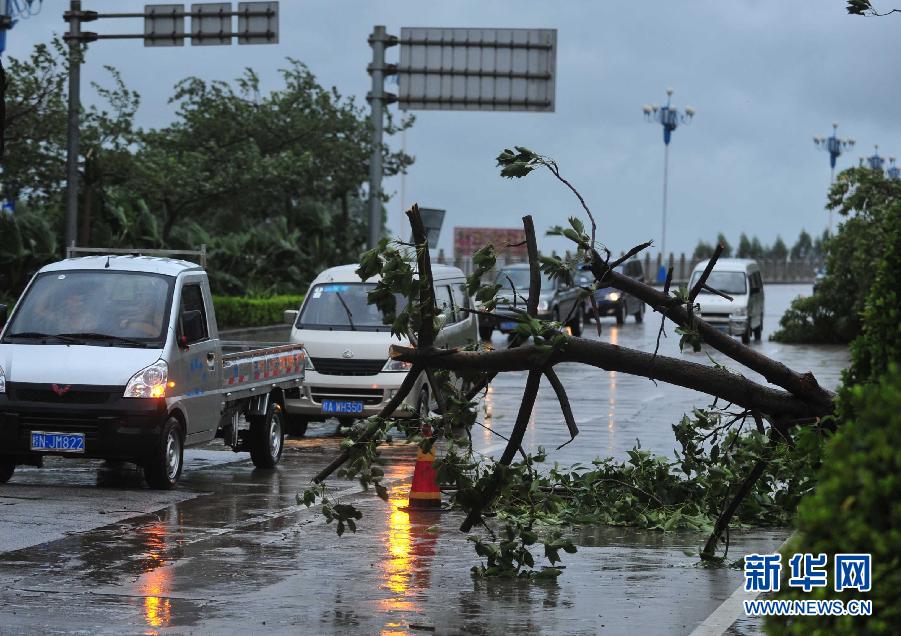 "启德"携风带雨 广西多地发布台风暴雨预警(组图)