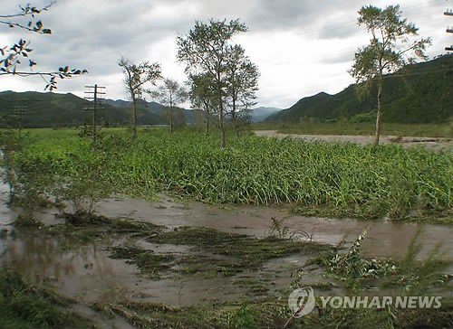 资料图片：图为朝中社于8月29日拍摄的因台风“布拉万”朝鲜农田受到破坏的景象。韩联社